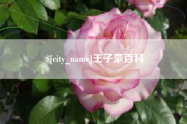 武穴王子豪百科