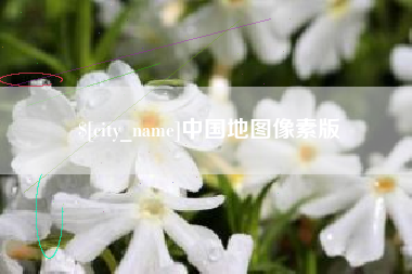 武穴中国地图像素版