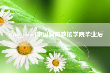 武穴中国消防救援学院毕业后