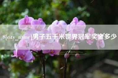 武穴男子五千米世界冠军奖金多少