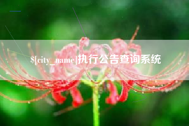 武穴执行公告查询系统
