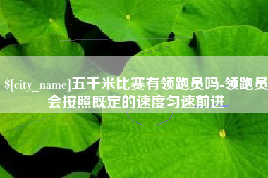 武穴五千米比赛有领跑员吗-领跑员会按照既定的速度匀速前进