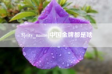 武穴中国金牌都是啥