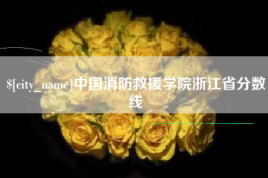 武穴中国消防救援学院浙江省分数线