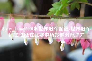 武穴5000米世界冠军配速-世界冠军们往往能在比赛中巧妙地分配体力