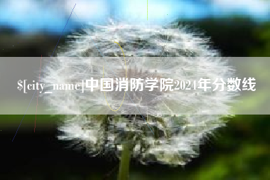 武穴中国消防学院2024年分数线