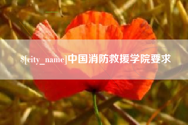 武穴中国消防救援学院要求