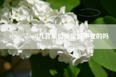武穴九宫星位是定位不变的吗