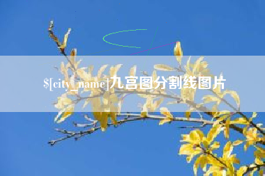 武穴九宫图分割线图片