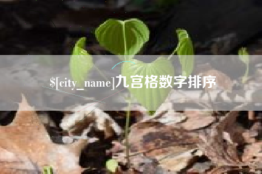 武穴九宫格数字排序