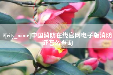 武穴中国消防在线官网电子版消防证怎么查询