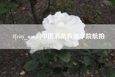 武穴中国消防救援学院航拍