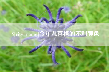 武穴今年九宫格的不利颜色