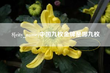 武穴中国九枚金牌是哪九枚