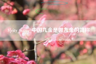 武穴中国九金是哪九金的简称