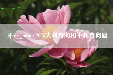 武穴2025大利方向和不利方向图