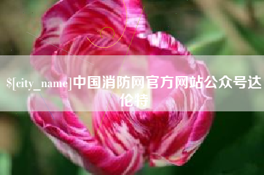 武穴中国消防网官方网站公众号达伦特