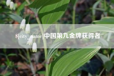 武穴中国第九金牌获得者