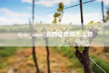 武穴消防证查询怎么查