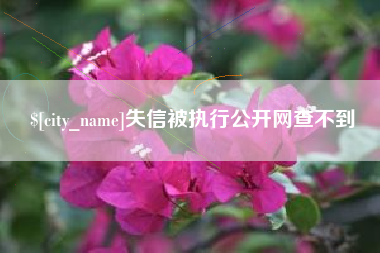 武穴失信被执行公开网查不到