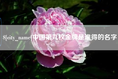 武穴中国第九枚金牌是谁得的名字