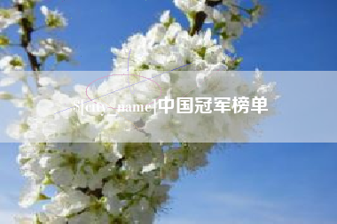 武穴中国冠军榜单