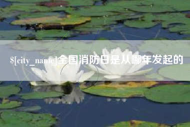 武穴全国消防日是从哪年发起的