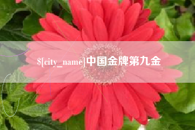 武穴中国金牌第九金