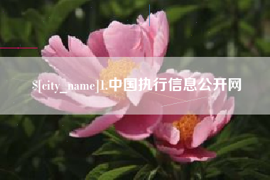 武穴1.中国执行信息公开网