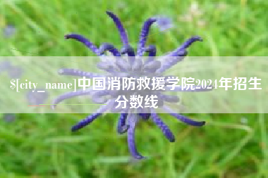 武穴中国消防救援学院2024年招生分数线