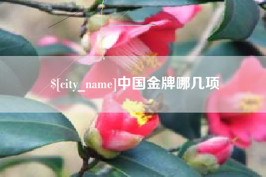 武穴中国金牌哪几项