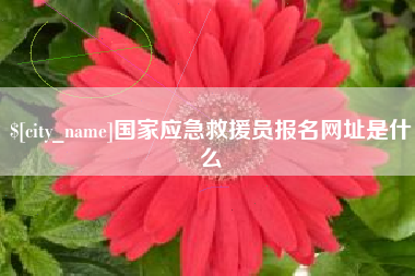 武穴国家应急救援员报名网址是什么