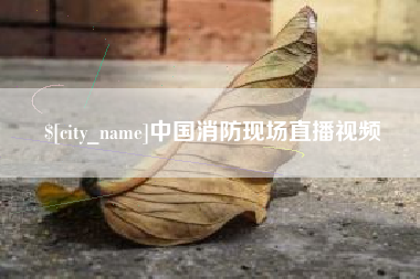 武穴中国消防现场直播视频