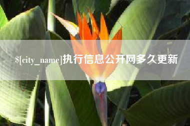 武穴执行信息公开网多久更新