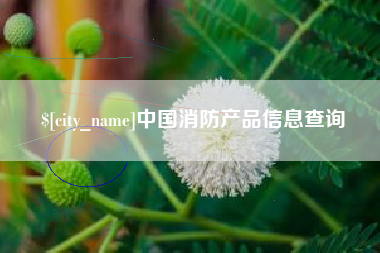 武穴中国消防产品信息查询