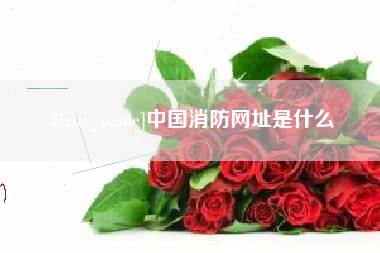 武穴中国消防网址是什么