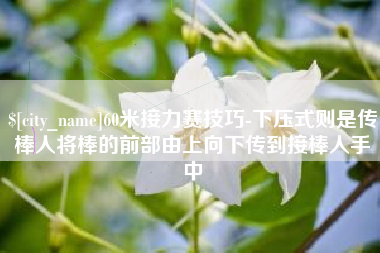 武穴60米接力赛技巧-下压式则是传棒人将棒的前部由上向下传到接棒人手中