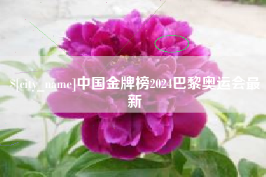 武穴中国金牌榜2024巴黎奥运会最新