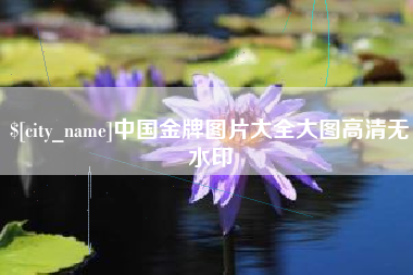 武穴中国金牌图片大全大图高清无水印