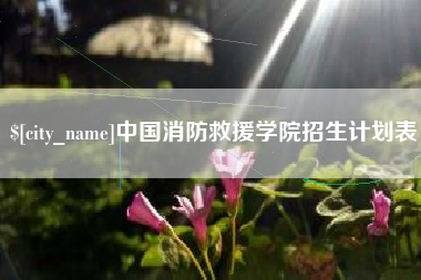 武穴中国消防救援学院招生计划表