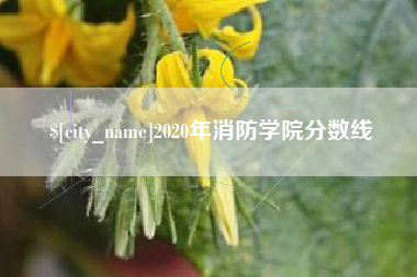 武穴2020年消防学院分数线