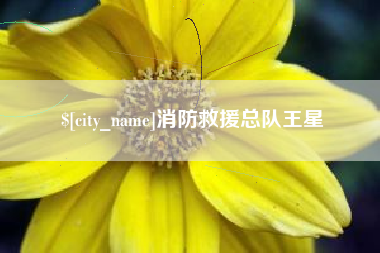 武穴消防救援总队王星