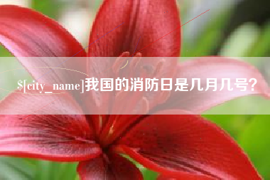武穴我国的消防日是几月几号？