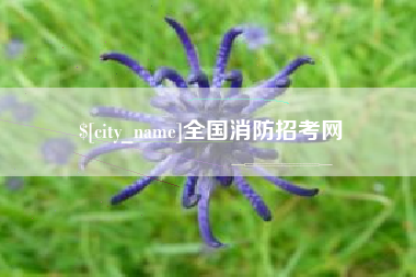 武穴全国消防招考网