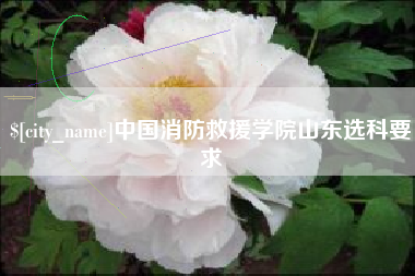 武穴中国消防救援学院山东选科要求