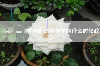 武穴中国消防救援学院什么时候政审