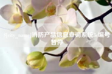 武穴消防产品信息查询系统3c编号暂停