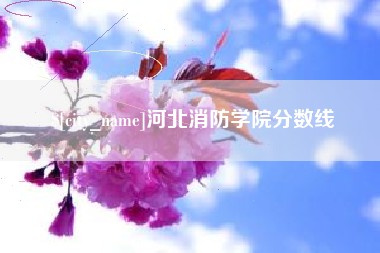 武穴河北消防学院分数线