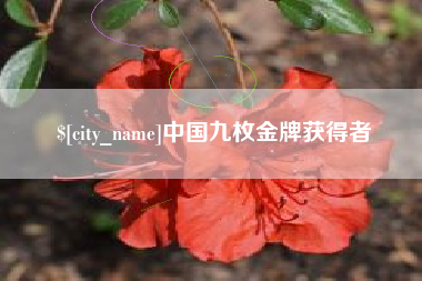 武穴中国九枚金牌获得者