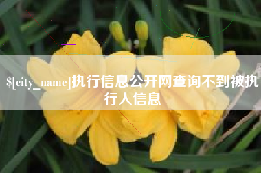 武穴执行信息公开网查询不到被执行人信息
